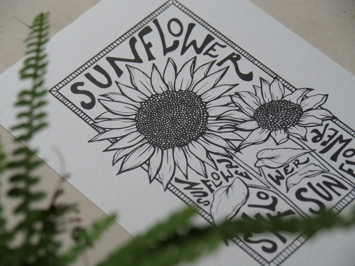 Sunflower
