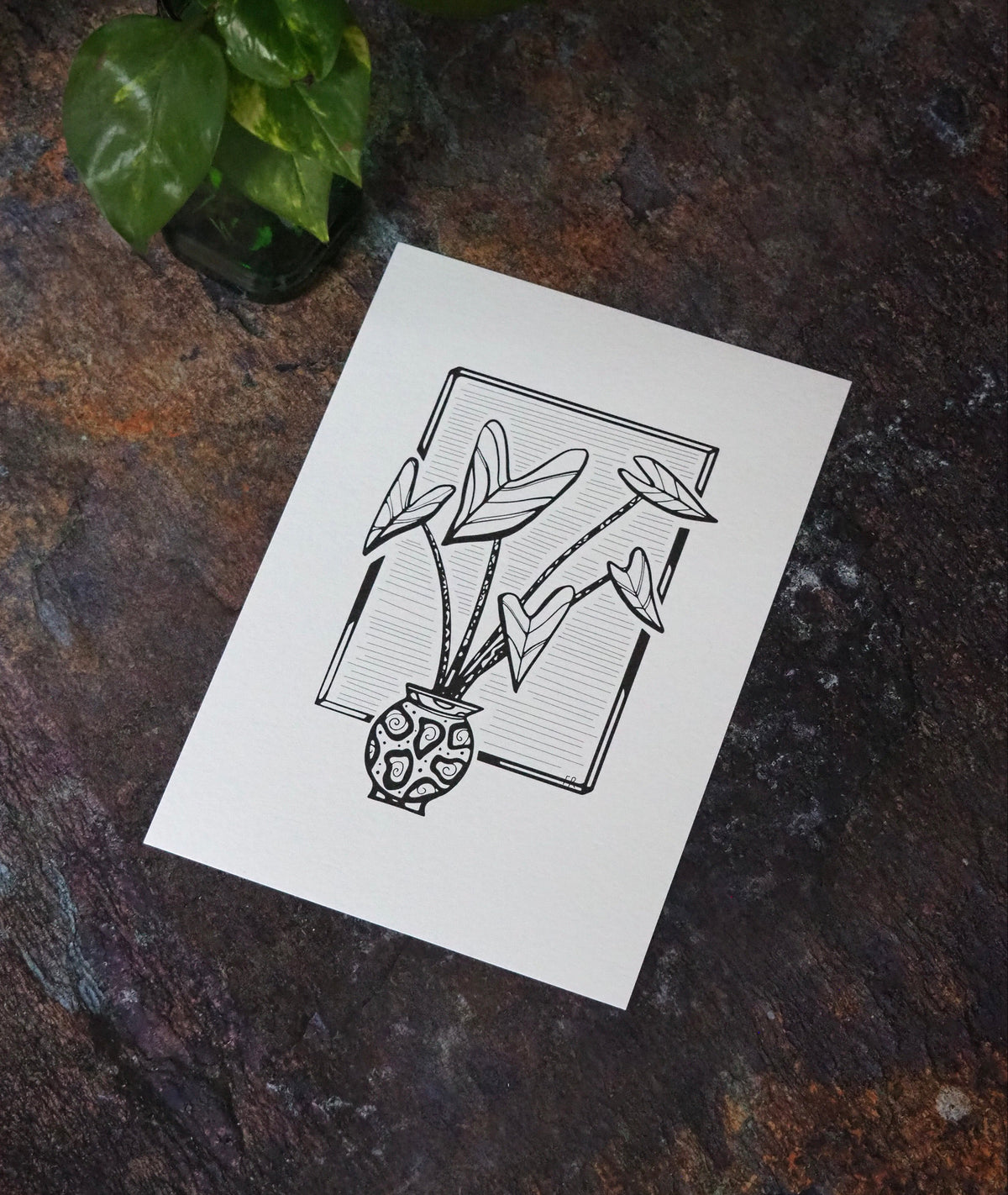 Plant in Pot