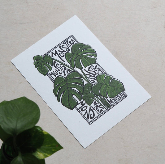 Monstera
